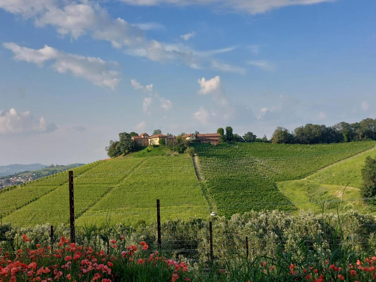 Tenuta Montanello B&B Castiglione Falletto Kültér fotó