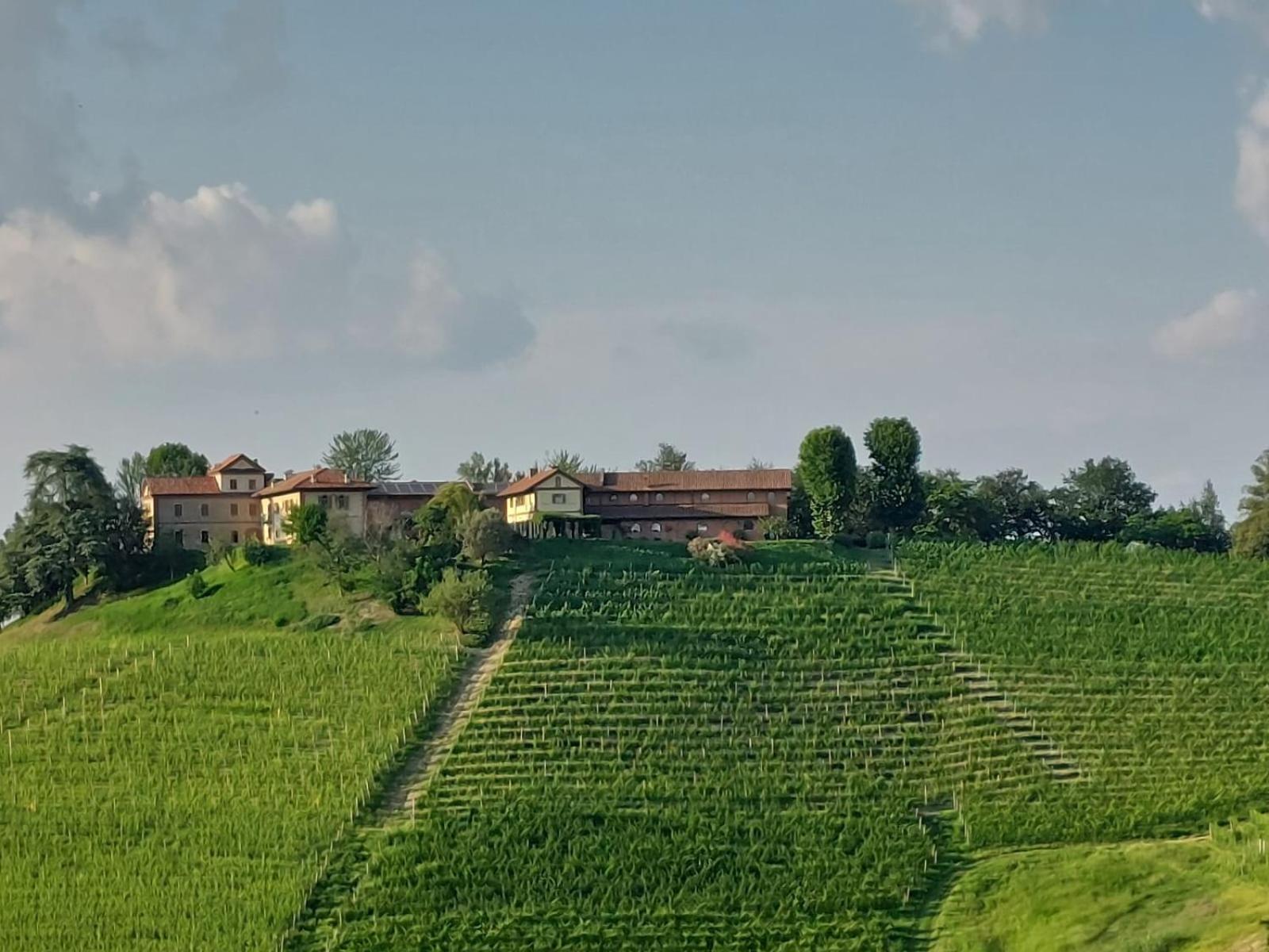 Tenuta Montanello B&B Castiglione Falletto Kültér fotó