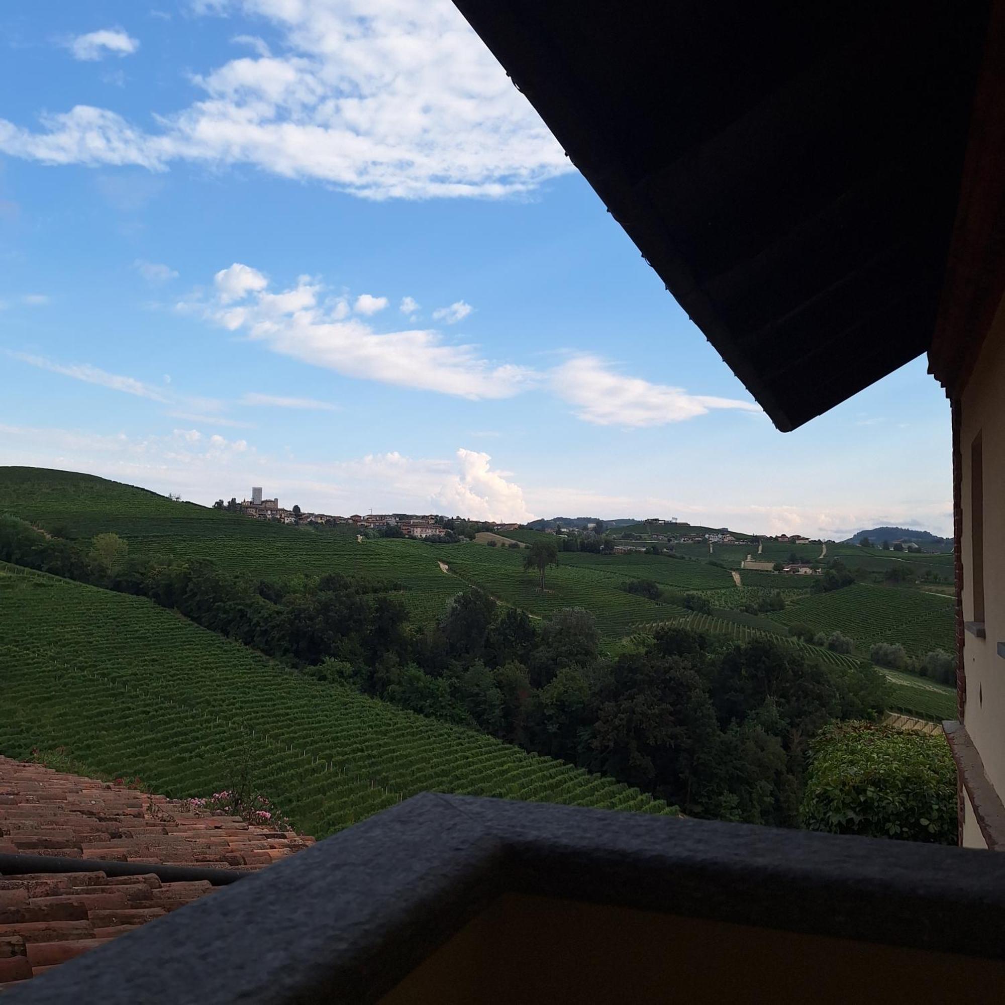Tenuta Montanello B&B Castiglione Falletto Kültér fotó