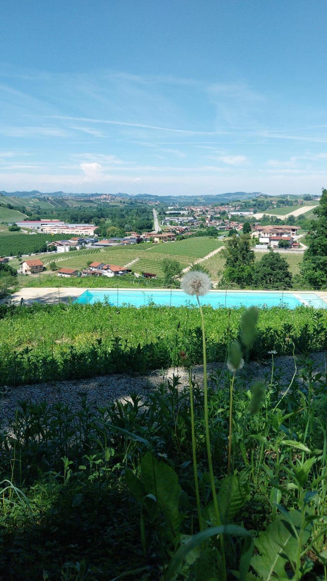 Tenuta Montanello B&B Castiglione Falletto Kültér fotó