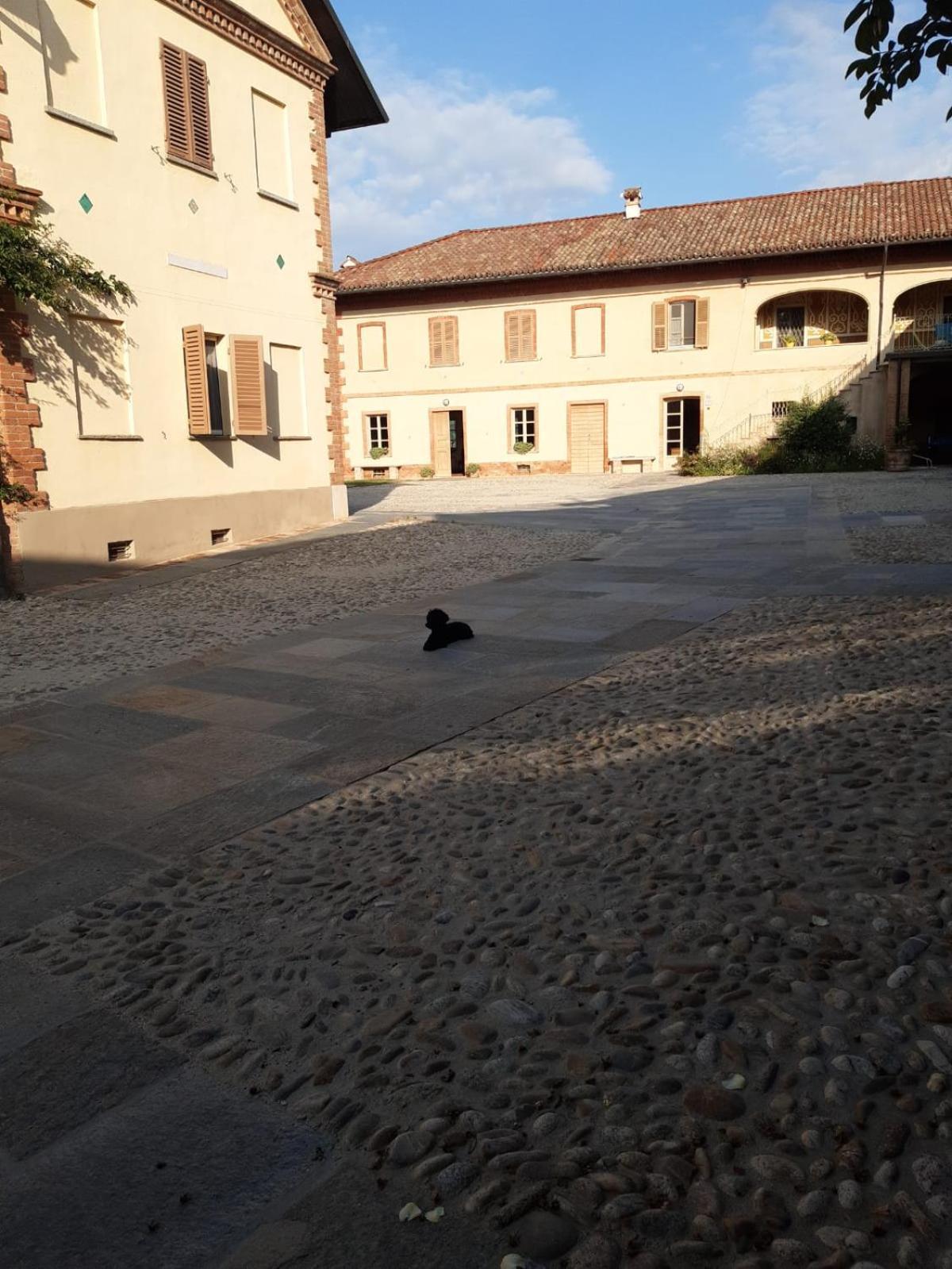 Tenuta Montanello B&B Castiglione Falletto Kültér fotó