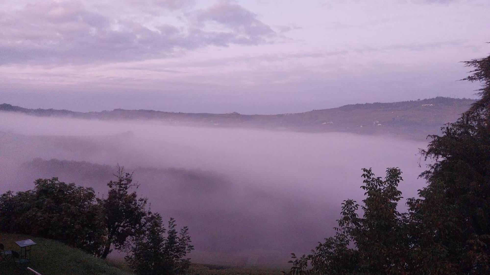 Tenuta Montanello B&B Castiglione Falletto Kültér fotó