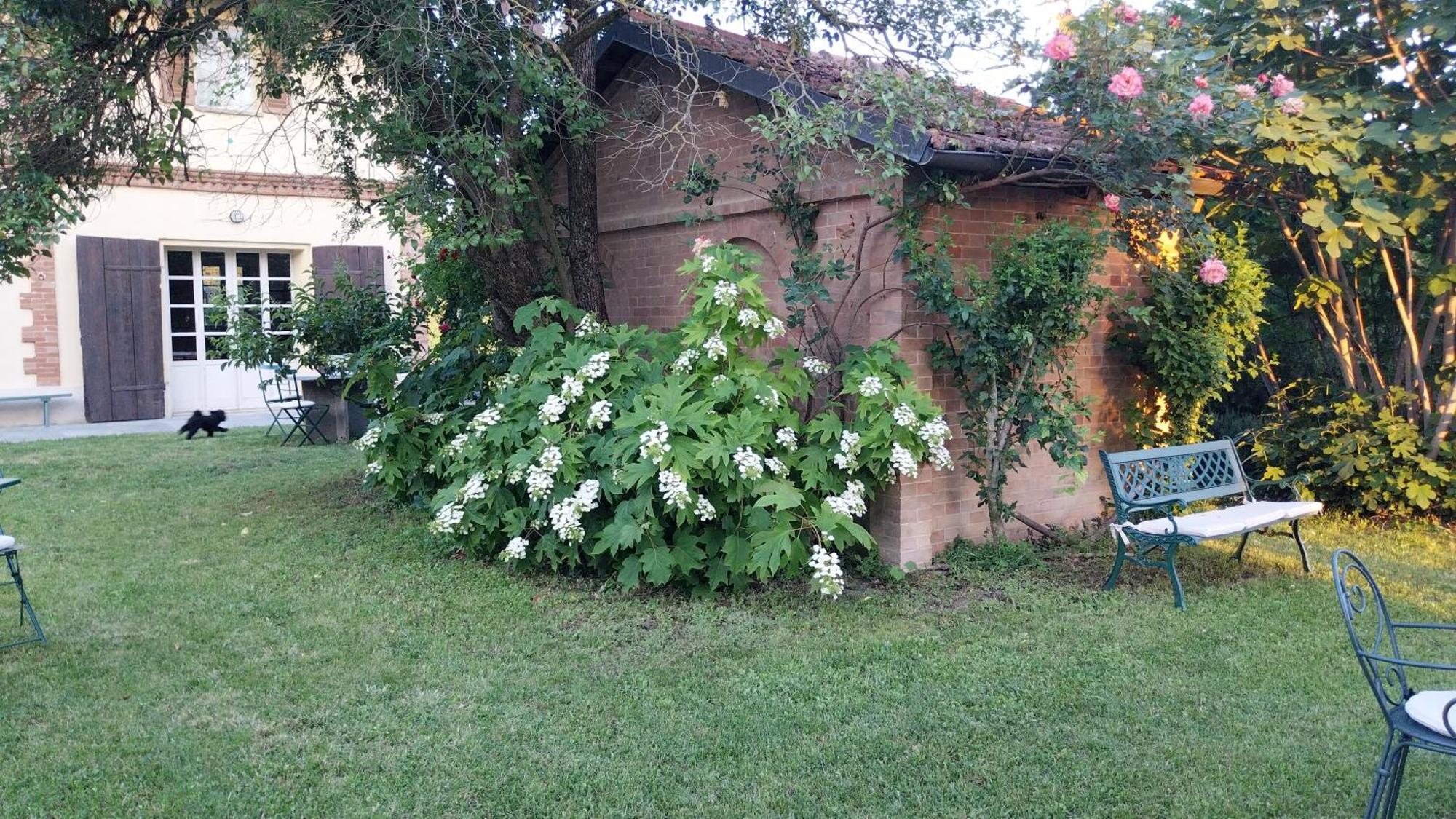 Tenuta Montanello B&B Castiglione Falletto Kültér fotó