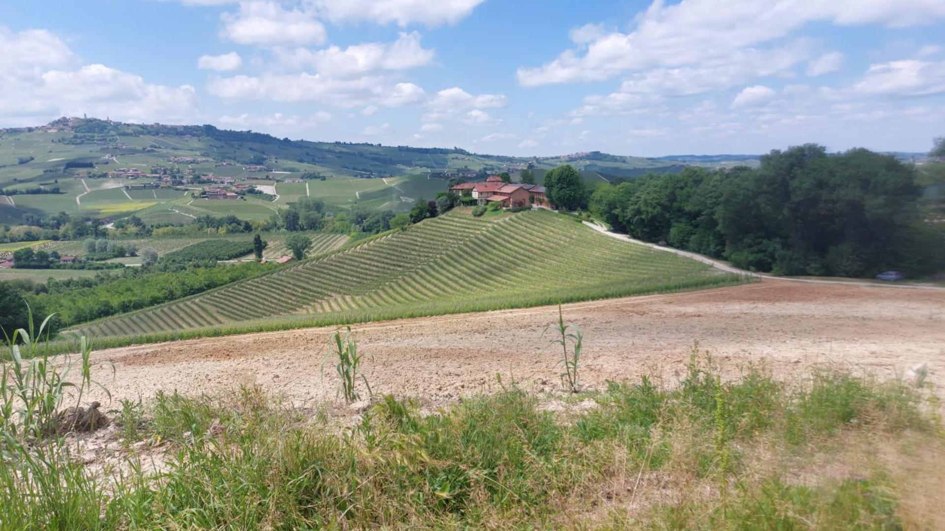 Tenuta Montanello B&B Castiglione Falletto Kültér fotó
