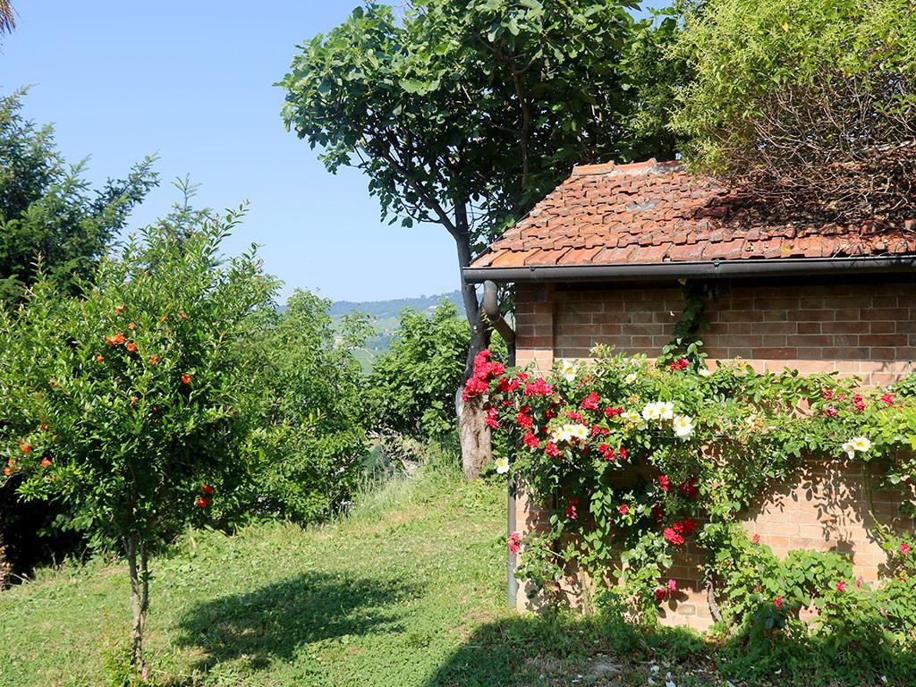 Tenuta Montanello B&B Castiglione Falletto Kültér fotó