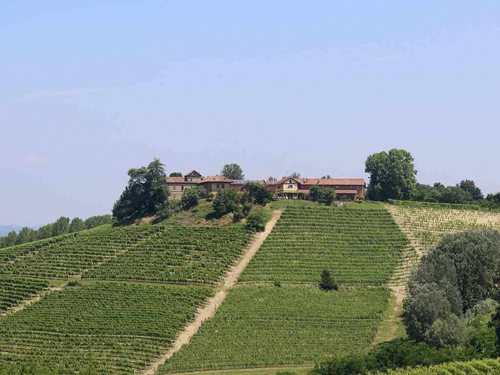 Tenuta Montanello B&B Castiglione Falletto Kültér fotó